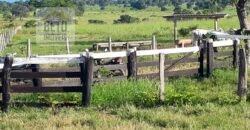 Venda imperdível: Fazenda 1.050 alq. Pecuária Estrutura Completa | Divisa com Goias/ TO