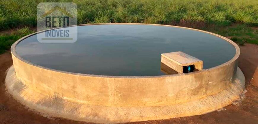 Venda imperdível: Fazenda 1.050 alq. Pecuária Estrutura Completa | Divisa com Goias/ TO