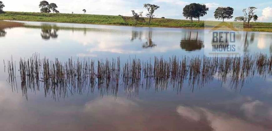 Venda imperdível: Fazenda 1.050 alq. Pecuária Estrutura Completa | Divisa com Goias/ TO