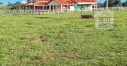 Venda imperdível: Fazenda 1.050 alq. Pecuária Estrutura Completa | Divisa com Goias/ TO