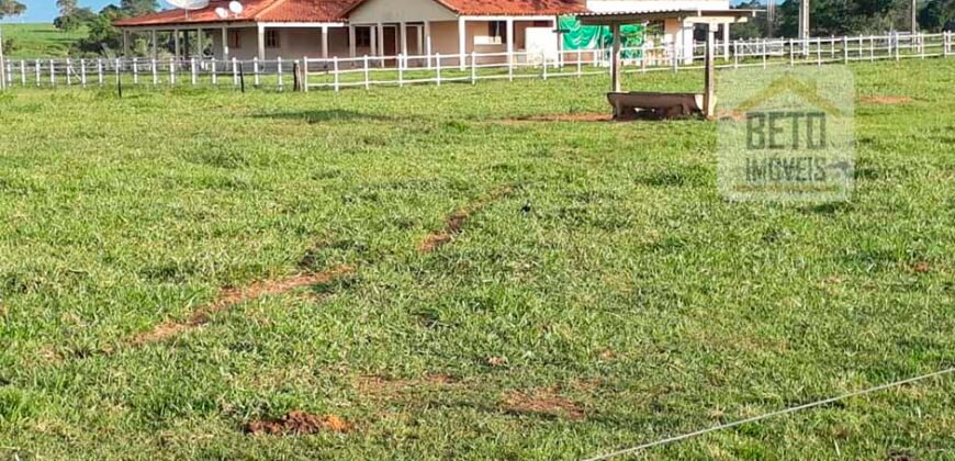 Venda imperdível: Fazenda 1.050 alq. Pecuária Estrutura Completa | Divisa com Goias/ TO