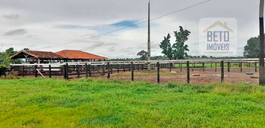 Venda imperdível: Fazenda 1.050 alq. Pecuária Estrutura Completa | Divisa com Goias/ TO