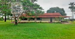 Venda imperdível: Fazenda 1.050 alq. Pecuária Estrutura Completa | Divisa com Goias/ TO