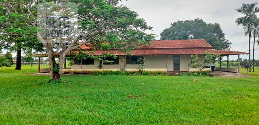 Venda imperdível: Fazenda 1.050 alq. Pecuária Estrutura Completa | Divisa com Goias/ TO