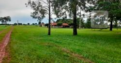 Venda imperdível: Fazenda 1.050 alq. Pecuária Estrutura Completa | Divisa com Goias/ TO