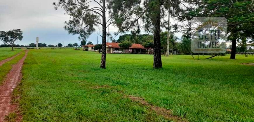 Venda imperdível: Fazenda 1.050 alq. Pecuária Estrutura Completa | Divisa com Goias/ TO