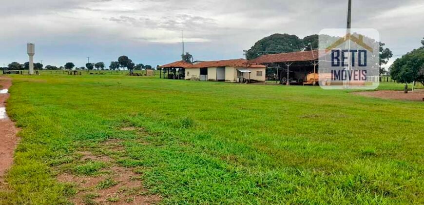 Venda imperdível: Fazenda 1.050 alq. Pecuária Estrutura Completa | Divisa com Goias/ TO