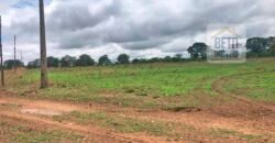 Fazenda à Venda 309 Has Pecuária e Agricultura c/ Toda Infraestrutura | Nova Xavantina/ MT