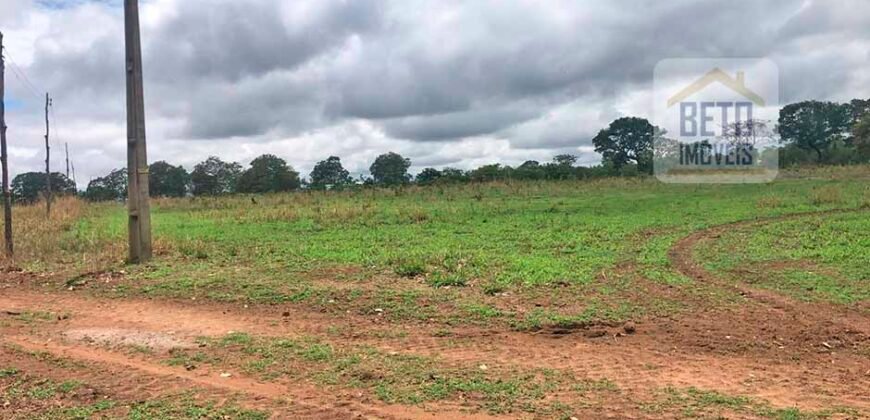 Fazenda à Venda 309 Has Pecuária e Agricultura c/ Toda Infraestrutura | Nova Xavantina/ MT