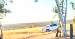 Fazenda à Venda 309 Has Pecuária e Agricultura c/ Toda Infraestrutura | Nova Xavantina/ MT