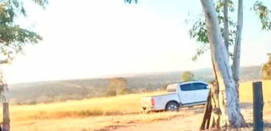 Fazenda à Venda 309 Has Pecuária e Agricultura c/ Toda Infraestrutura | Nova Xavantina/ MT