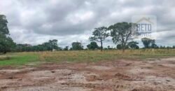 Fazenda à Venda 309 Has Pecuária e Agricultura c/ Toda Infraestrutura | Nova Xavantina/ MT