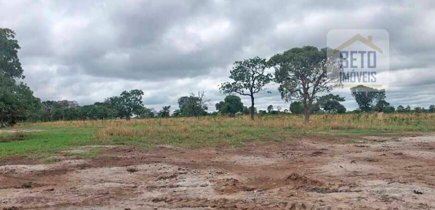 Fazenda à Venda 309 Has Pecuária e Agricultura c/ Toda Infraestrutura | Nova Xavantina/ MT