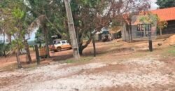 Fazenda à Venda 309 Has Pecuária e Agricultura c/ Toda Infraestrutura | Nova Xavantina/ MT