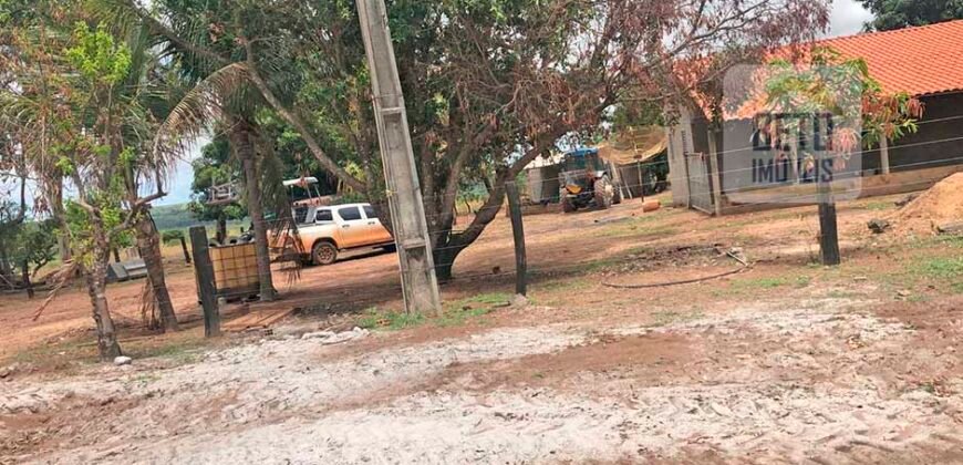 Fazenda à Venda 309 Has Pecuária e Agricultura c/ Toda Infraestrutura | Nova Xavantina/ MT