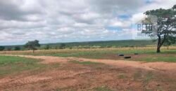 Fazenda à Venda 309 Has Pecuária e Agricultura c/ Toda Infraestrutura | Nova Xavantina/ MT