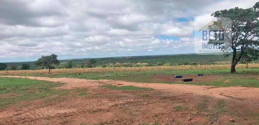 Fazenda à Venda 309 Has Pecuária e Agricultura c/ Toda Infraestrutura | Nova Xavantina/ MT
