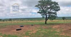 Fazenda à Venda 309 Has Pecuária e Agricultura c/ Toda Infraestrutura | Nova Xavantina/ MT