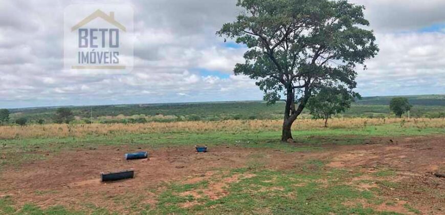 Fazenda à Venda 309 Has Pecuária e Agricultura c/ Toda Infraestrutura | Nova Xavantina/ MT