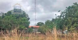 Fazenda à Venda 309 Has Pecuária e Agricultura c/ Toda Infraestrutura | Nova Xavantina/ MT