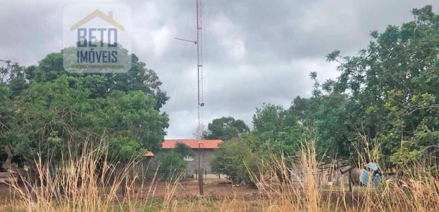 Fazenda à Venda 309 Has Pecuária e Agricultura c/ Toda Infraestrutura | Nova Xavantina/ MT