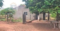 Fazenda à Venda 309 Has Pecuária e Agricultura c/ Toda Infraestrutura | Nova Xavantina/ MT