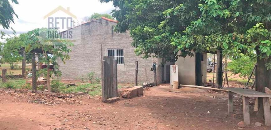 Fazenda à Venda 309 Has Pecuária e Agricultura c/ Toda Infraestrutura | Nova Xavantina/ MT