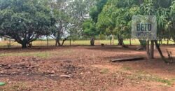 Fazenda à Venda 309 Has Pecuária e Agricultura c/ Toda Infraestrutura | Nova Xavantina/ MT