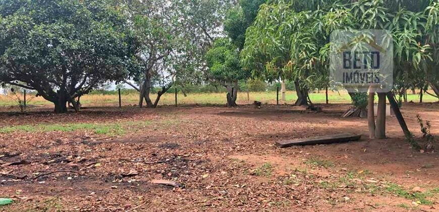 Fazenda à Venda 309 Has Pecuária e Agricultura c/ Toda Infraestrutura | Nova Xavantina/ MT