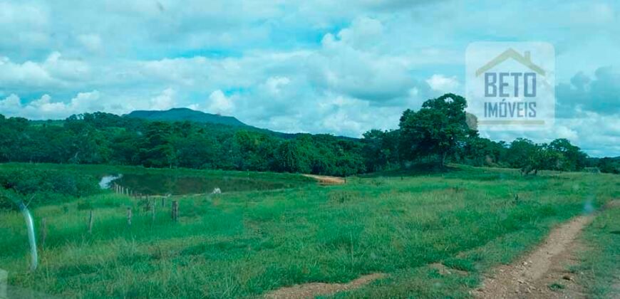Fazenda à Venda 107 alqueires para Agropecuária com Linda Casa Sede | Rio Verde/ GO