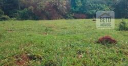 Fazenda à Venda 107 alqueires para Agropecuária com Linda Casa Sede | Rio Verde/ GO