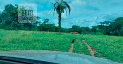 Fazenda à Venda 107 alqueires para Agropecuária com Linda Casa Sede | Rio Verde/ GO