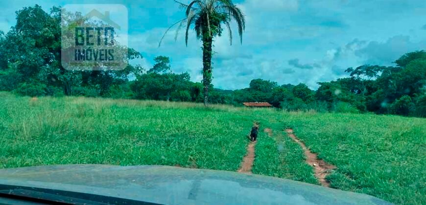 Fazenda à Venda 107 alqueires para Agropecuária com Linda Casa Sede | Rio Verde/ GO