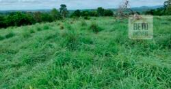 Fazenda à Venda 107 alqueires para Agropecuária com Linda Casa Sede | Rio Verde/ GO