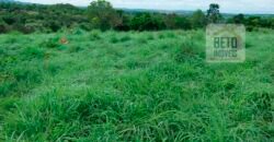 Fazenda à Venda 107 alqueires para Agropecuária com Linda Casa Sede | Rio Verde/ GO