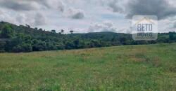 Fazenda à Venda 107 alqueires para Agropecuária com Linda Casa Sede | Rio Verde/ GO