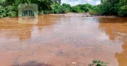 Fazenda à Venda 107 alqueires para Agropecuária com Linda Casa Sede | Rio Verde/ GO