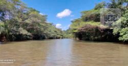 Venda imperdível: Fazenda paradisíaca com 225 alq Estrutura Pecuária | Padre Bernardo/ GO