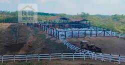 Venda imperdível: Fazenda paradisíaca com 225 alq Estrutura Pecuária | Padre Bernardo/ GO