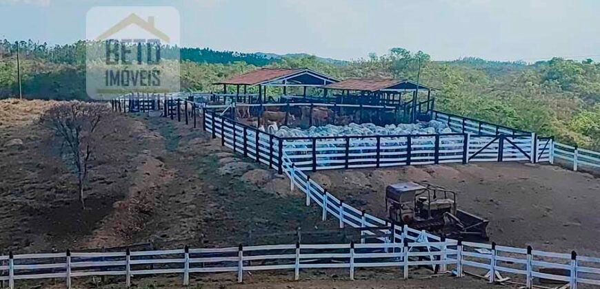 Venda imperdível: Fazenda paradisíaca com 225 alq Estrutura Pecuária | Padre Bernardo/ GO