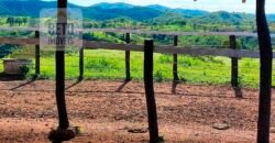 Venda imperdível: Fazenda paradisíaca com 225 alq Estrutura Pecuária | Padre Bernardo/ GO