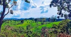 Venda imperdível: Fazenda paradisíaca com 225 alq Estrutura Pecuária | Padre Bernardo/ GO