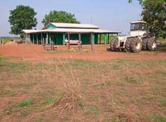 Fazenda à Venda 202 Alqueires Grande Oportunidade de Negócio | Sta. Maria da Barreira/ PA
