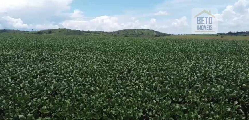 Ótima Fazenda à Venda 499 hectares Área para Plantio e Pastos | Piumhi/ MG