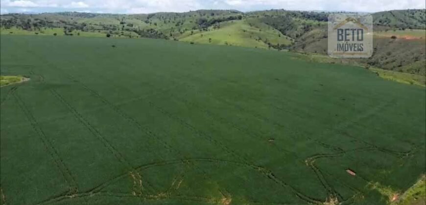 Ótima Fazenda à Venda 499 hectares Área para Plantio e Pastos | Piumhi/ MG