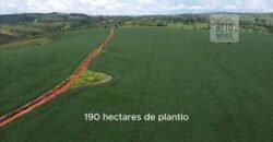 Ótima Fazenda à Venda 499 hectares Área para Plantio e Pastos | Piumhi/ MG