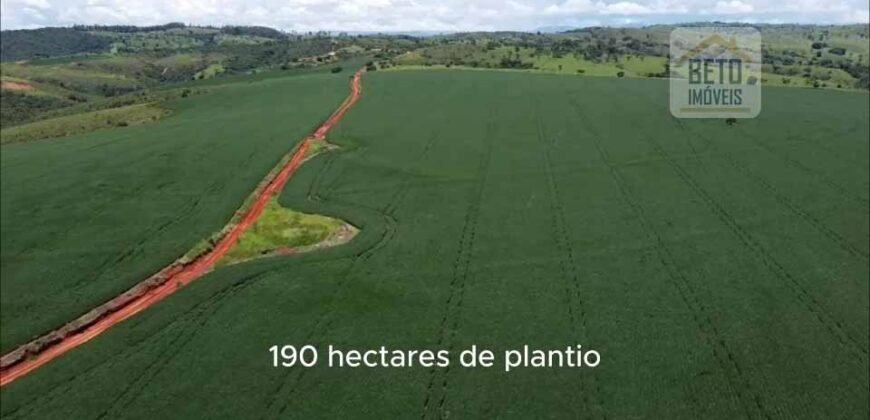 Ótima Fazenda à Venda 499 hectares Área para Plantio e Pastos | Piumhi/ MG