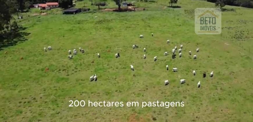 Ótima Fazenda à Venda 499 hectares Área para Plantio e Pastos | Piumhi/ MG