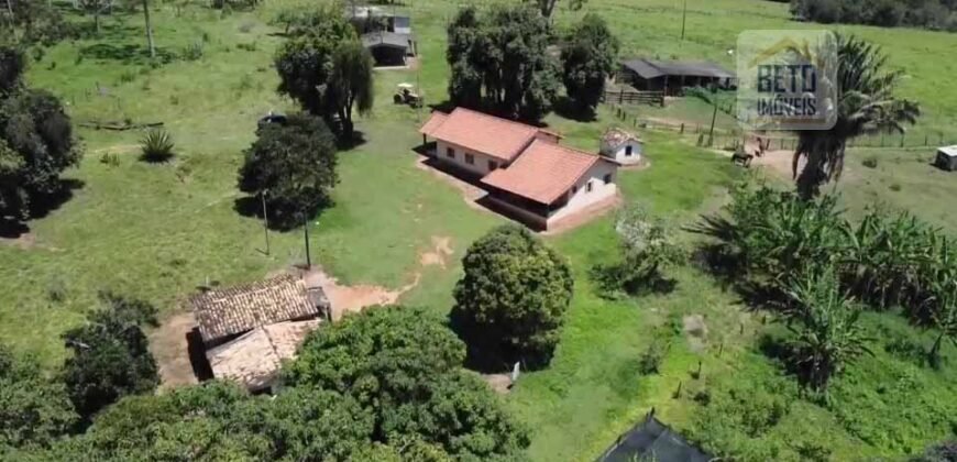 Ótima Fazenda à Venda 499 hectares Área para Plantio e Pastos | Piumhi/ MG