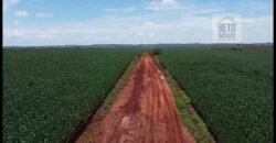 Ótima Fazenda à Venda 499 hectares Área para Plantio e Pastos | Piumhi/ MG